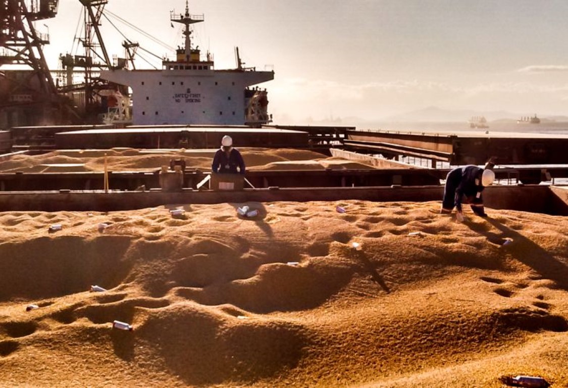 Fumigation Of Bulk Commodities